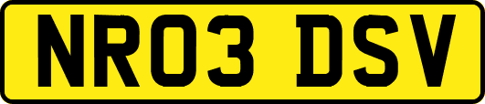 NR03DSV