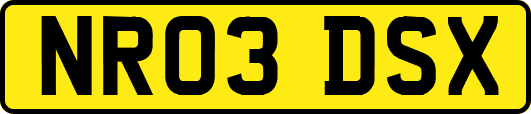 NR03DSX