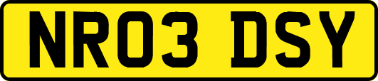 NR03DSY