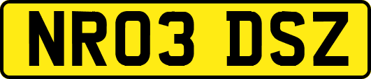NR03DSZ