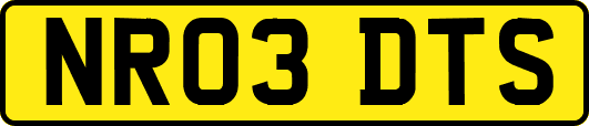 NR03DTS