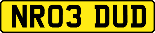 NR03DUD