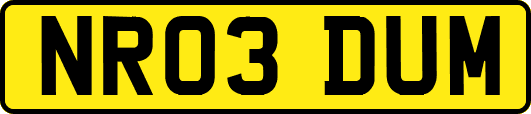 NR03DUM