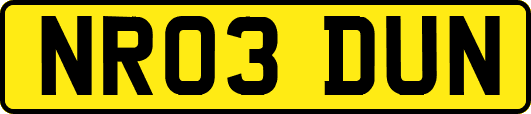 NR03DUN