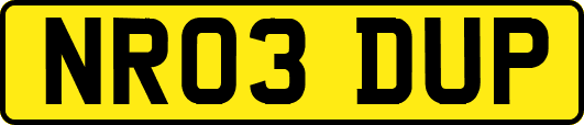 NR03DUP
