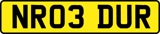 NR03DUR
