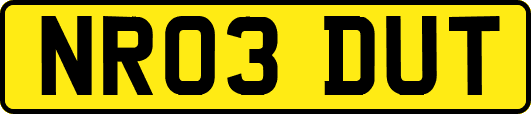 NR03DUT