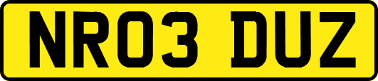 NR03DUZ
