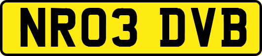 NR03DVB