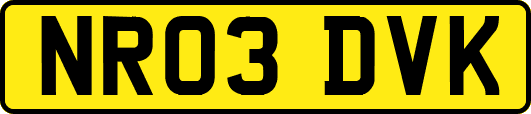 NR03DVK