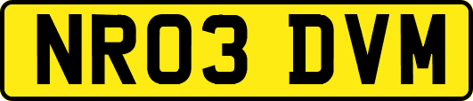 NR03DVM