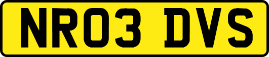 NR03DVS