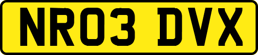 NR03DVX