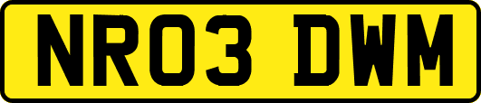 NR03DWM