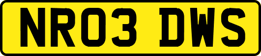 NR03DWS