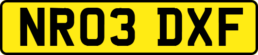 NR03DXF