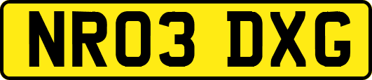 NR03DXG