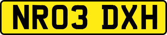 NR03DXH