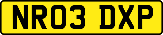 NR03DXP