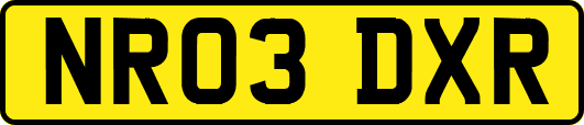 NR03DXR