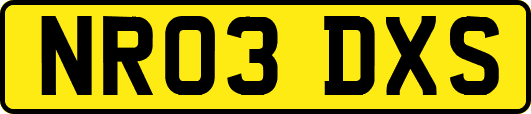 NR03DXS