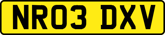 NR03DXV
