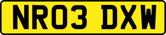 NR03DXW