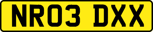 NR03DXX
