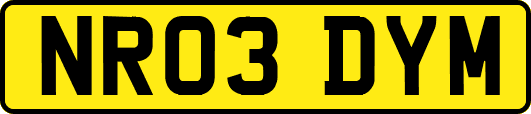 NR03DYM