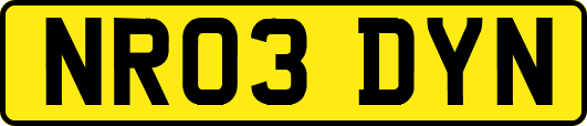 NR03DYN