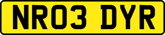 NR03DYR