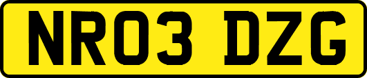 NR03DZG