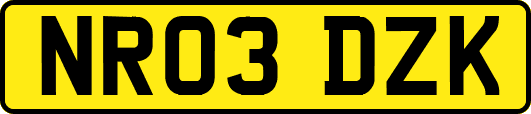 NR03DZK