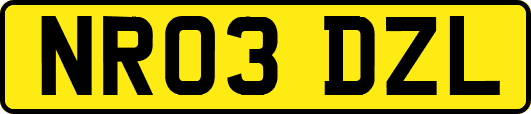 NR03DZL