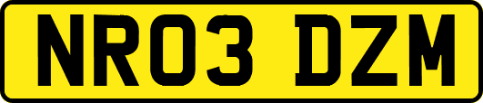 NR03DZM