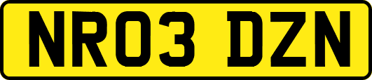 NR03DZN