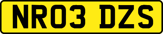 NR03DZS
