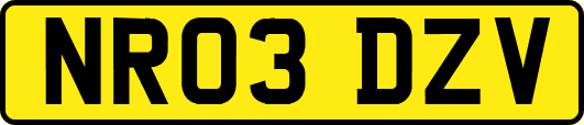 NR03DZV