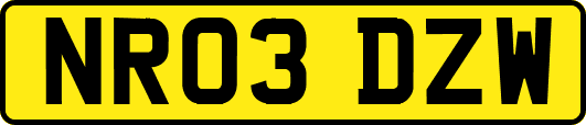 NR03DZW