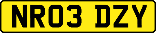 NR03DZY