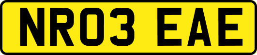 NR03EAE