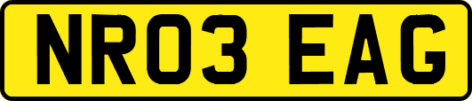 NR03EAG