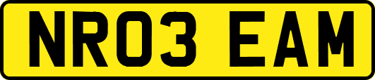 NR03EAM