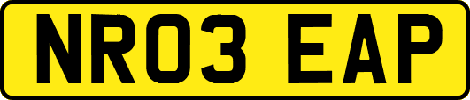 NR03EAP