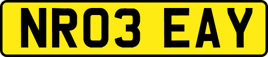 NR03EAY