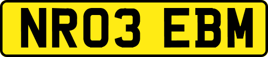 NR03EBM