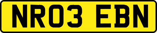 NR03EBN