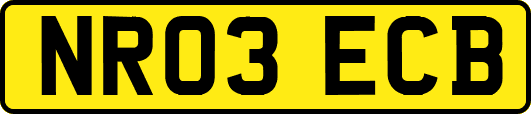 NR03ECB