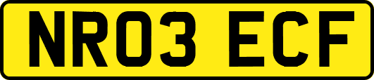 NR03ECF