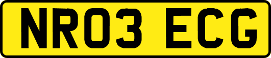 NR03ECG